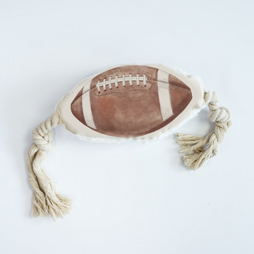 football-dog-rope-toy